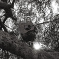 the album cover for Ty Segall - Hello, Hi