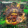 the album cover for Shpongle - Nothing Lasts... But Nothing Is Lost