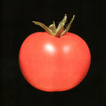 the album cover for Chronophage - Chronophage [LP]
