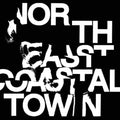 the album cover for LIFE - North East Coastal Town [Green LP]