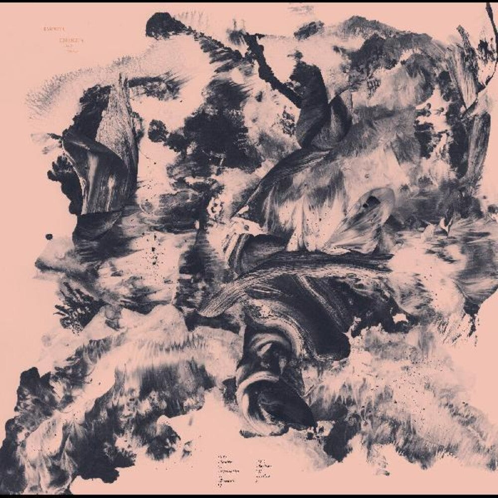 the album cover for Barnett & Coloccia - Third Wilderness