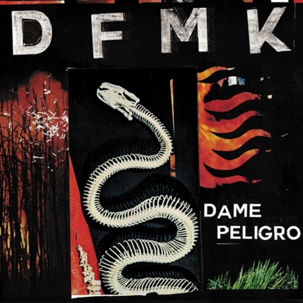 the album cover for Dfmk - Dame Peligro