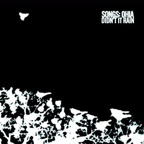 the album cover for Songs: Ohia - Didn't It Rain