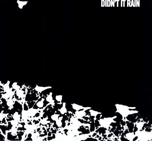 the album cover for Songs: Ohia - Didn't It Rain