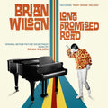 the album cover for Brian Wilson - Brian Wilson: Long Promised Road