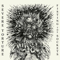 the album cover for Severe Torture - Fisting The Sockets