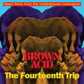 the album cover for Brown Acid - Fourteenth Trip / Various Artists - Brown Acid - Fourteenth Trip (Various Artists)