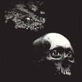 the album cover for Osees - Foul Form
