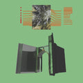 the album cover for Carlos Nino  & Friends - Extra Presence