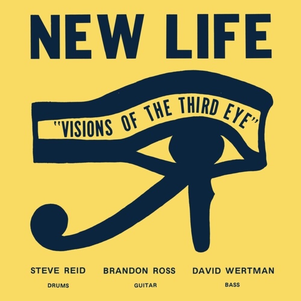 the album cover for New Life Trio - Visions Of The Third Eye