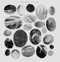 the album cover for Mount Maxwell - Only Children