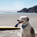 the album cover for Goth Babe - Goth Babe - Ghostly Blue (Blue) [Colored Vinyl]