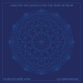 the album cover for ...And You Will Know Us By The Trail Of Dead - XI: Bleed Here Now [Indie Exclusive Limited Edition Clear w/ Translucent Blue Swirl 2LP]