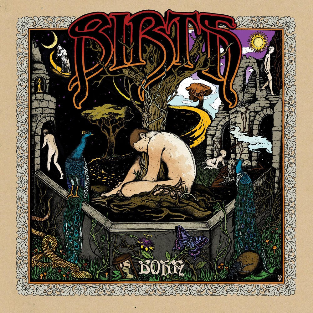 the album cover for Birth - Born