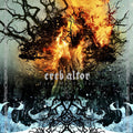the album cover for Ereb Altor - Fire Meets Ice