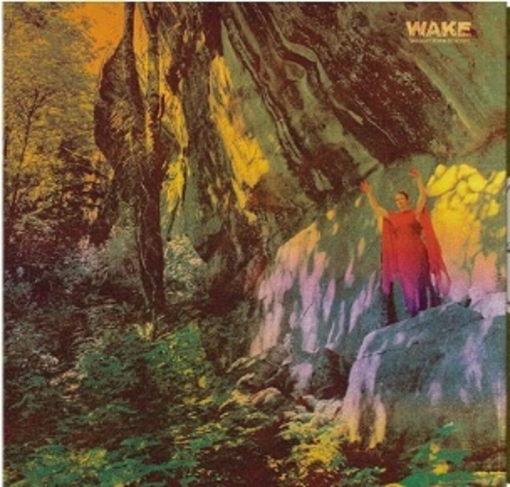 the album cover for The Wake - Thought Form Descent