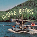 the album cover for Boyscott - Goose Bumps
