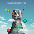 the album cover for Pigeons Playing Ping Pong - Perspective [2LP]