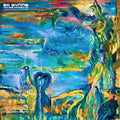 the album cover for Ed Wynne  (Ozric Tentacles) - Tumbling Through The Floativerse