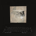the album cover for Lambchop - The Bible [2LP]