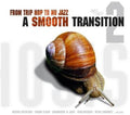 the album cover for From Trip Hop To Nu Jazz - From Trip Hop to Nu Jazz / Various