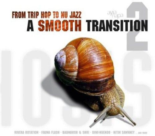 the album cover for From Trip Hop To Nu Jazz - From Trip Hop to Nu Jazz / Various