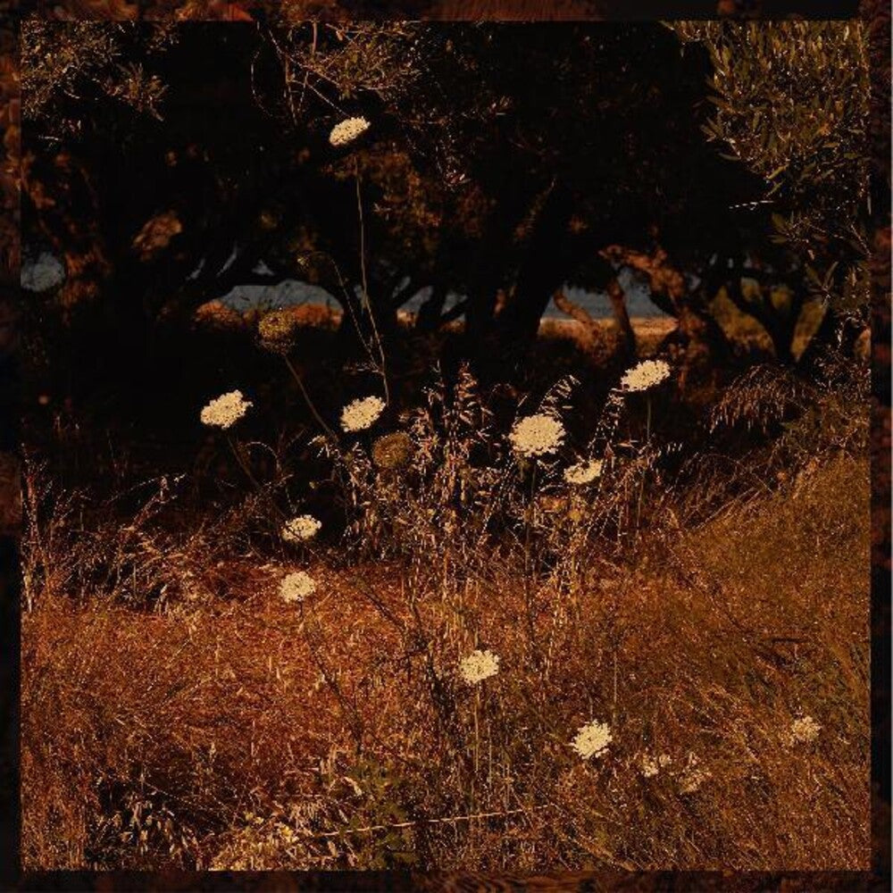 the album cover for Szun Waves - Earth Patterns (Brwn) [Indie Exclusive] (Smok) [Download Included]
