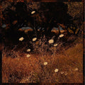 the album cover for Szun Waves - Earth Patterns
