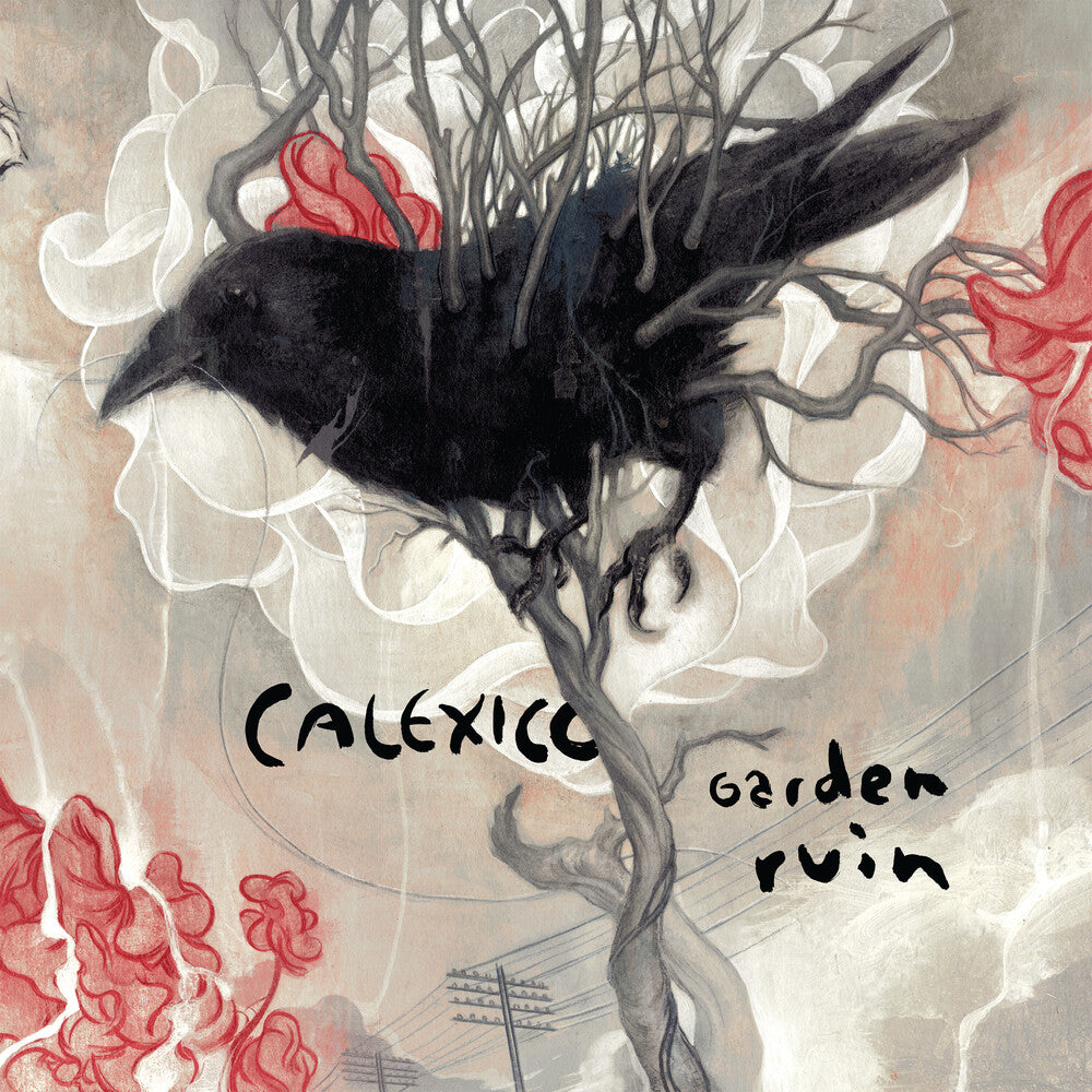 the album cover for Calexico - Garden Ruin - Silver/White [Colored Vinyl] (Slv) (Wht)