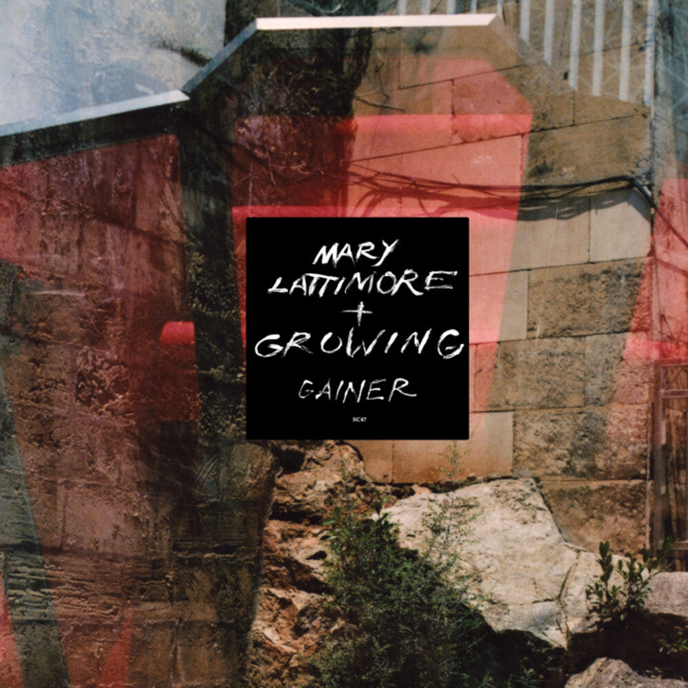 the album cover for Lattimore, Mary & Growing - Gainer