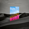the album cover for Armor For Sleep - The Rain Museum [LP]