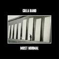 the album cover for Gilla Band - Most Normal