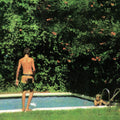 the album cover for Toledo - How It Ends [LP]