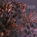 the album cover for Eerie Wanda - Internal Radio