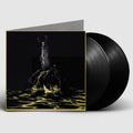 the album cover for Swallow The Sun - When A Shadow Is Forced Into The Light