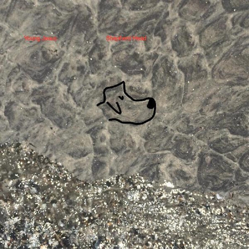 the album cover for Young Jesus - Shepherd Head