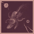 the album cover for Turner, Aaron / Mueller, Jon - Now That You've Found It