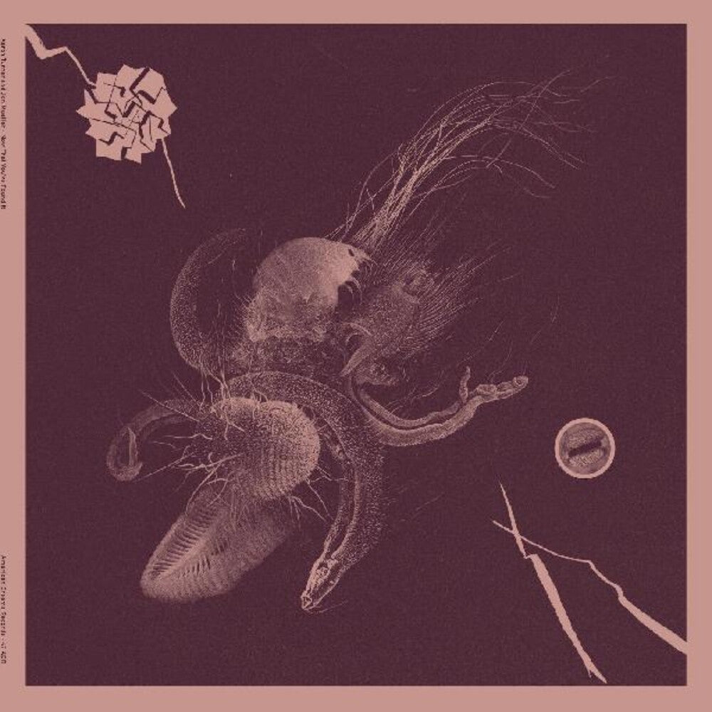 the album cover for Turner, Aaron / Mueller, Jon - Now That You've Found It
