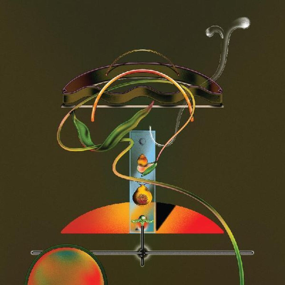 the album cover for Wand - Spiders In The Rain