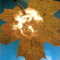 the album cover for Soyuz (??Io3) - Force Of The Wind