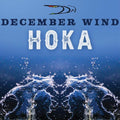 the album cover for December Wind - Hoka [Digipak]