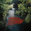 the album cover for Surprise Chef - Education & Recreation [Indie Exclusive Limited Edition Clear Red LP]