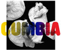 the album cover for Various Artists - La Edad De Oro De La Cumbia Colombiana (Various Artists)