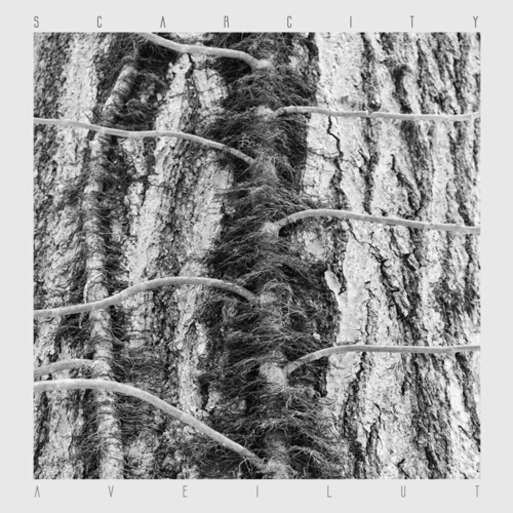 the album cover for Scarcity - Aveilut