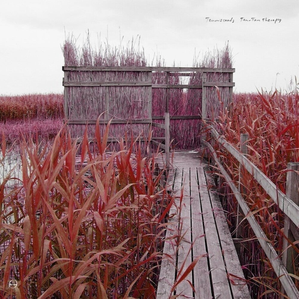 the album cover for Tenniscoats - Tan-Tan Therapy