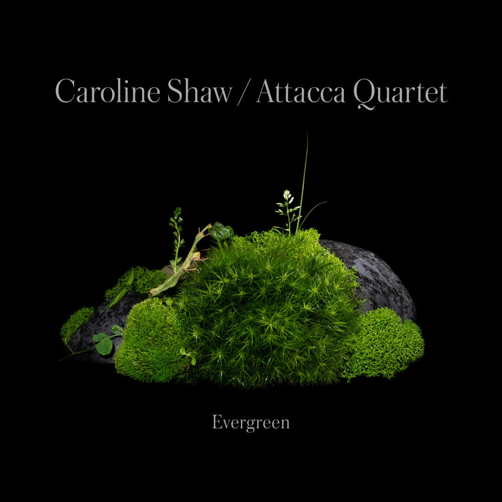 the album cover for Caroline Shaw & Attacca Quartet - Evergreen