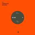 the album cover for Chip Wickham - Astral Traveling