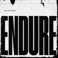 the album cover for Special Interest - Endure [LP]