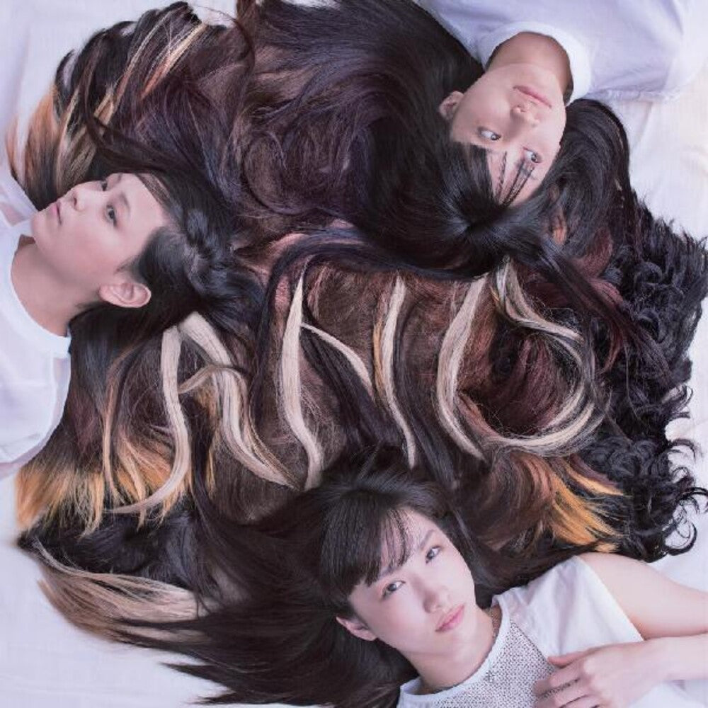 the album cover for Tricot - A N D