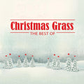 the album cover for Various Artists - CHRISTMAS GRASS: THE BEST OF (GREEN LP)